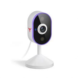 C100 Indoor Security Camera
