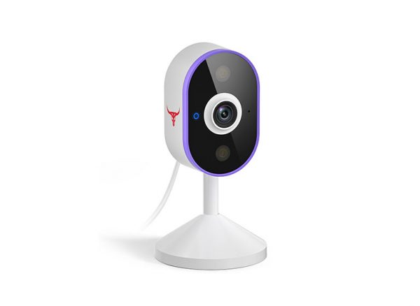 C100 Indoor Security Camera